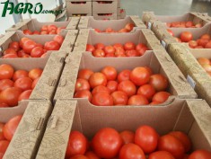 1agro.com.ua
