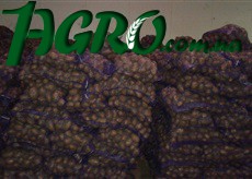 1agro.com.ua