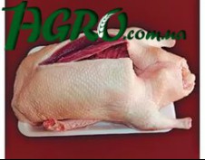 1agro.com.ua