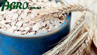 1agro.com.ua