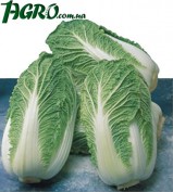 1agro.com.ua