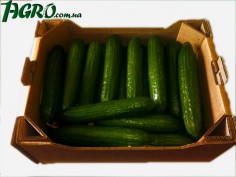 1agro.com.ua