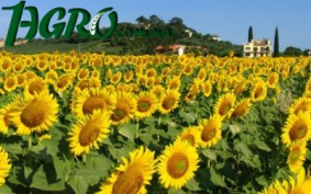 1agro.com.ua