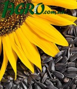 1agro.com.ua