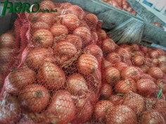 1agro.com.ua