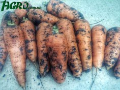 1agro.com.ua