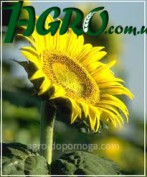 1agro.com.ua