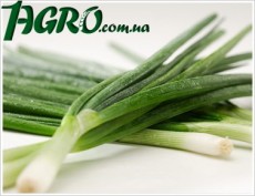 1agro.com.ua