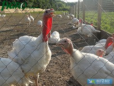 1agro.com.ua