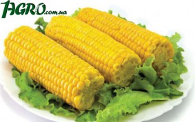 1agro.com.ua