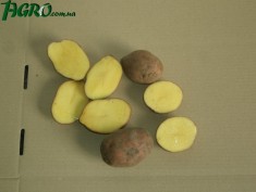 1agro.com.ua