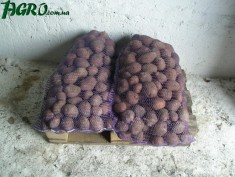 1agro.com.ua