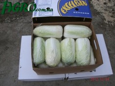 1agro.com.ua