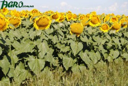 1agro.com.ua