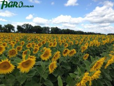 1agro.com.ua