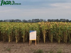 1agro.com.ua