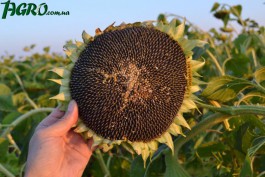 1agro.com.ua